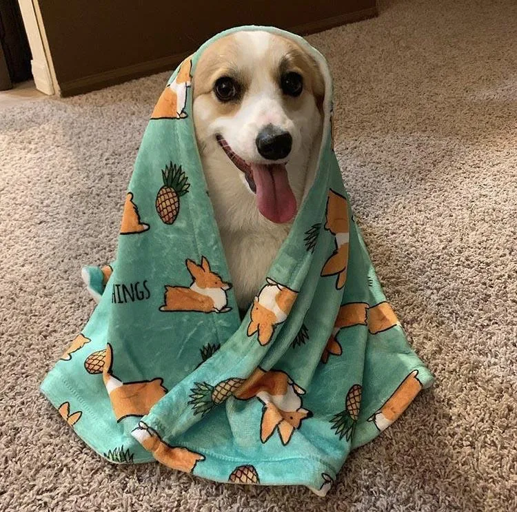 Pineapple Corgi Fleece Blanket | 3 Sizes