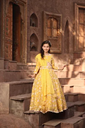 Pre Order: Yellow Parsi work Lehenga Choli